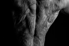 2025-01-17-Jeremy-287-Edit