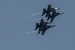 51291913018_477c08664f_k