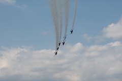 51292445439_bb836f1b17_k
