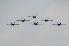 51292446339_ba0807af14_k