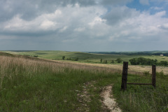 LWP_8810