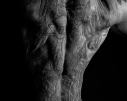 Tattooed Back Study Black and white bodyscape of a tattooed male back