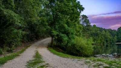 A quiet road curves through Cinnamon Valley near Eureka Springs, Arkansas. Gravel road curving through trees in Cinnamon Valley near Eureka Springs, Arkansas, beneath a purple evening sky.